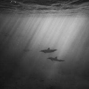 18🈲🍆🍑无套直欧美
